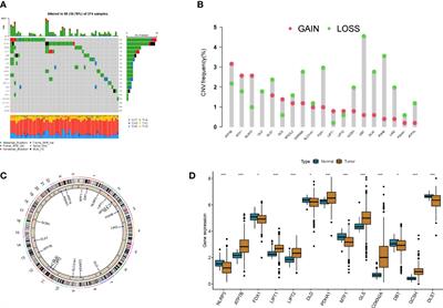 Molecular subtypes and tumor microenvironment infiltration signatures based on cuproptosis-related genes in colon cancer